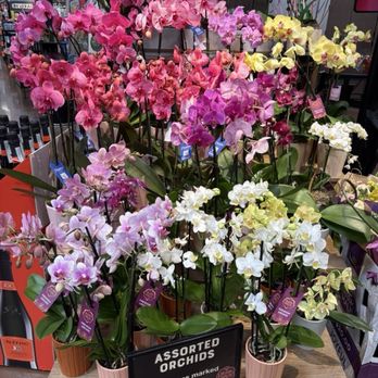 Fry's Food Store - Fall 2025, Orchids - Grocery Near Me - Goodyear, Arizona Fry's Food Store - Fall 2025, Orchids - Grocery Near Me - Goodyear, Arizona