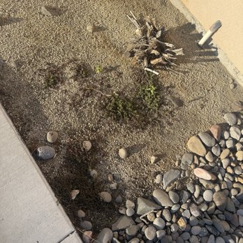 Hallmark Investments - This is landscaping I was told was competed that I needed to pay for. Brandon said that it is just the way things are. - Property Management Near Me - Reno, Nevada Hallmark Investments - This is landscaping I was told was competed that I needed to pay for. Brandon said that it is just the way things are. - Property Management Near Me - Reno, Nevada