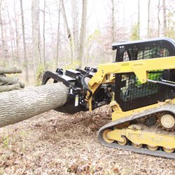 Donegan's Tree Service - No log is too big!