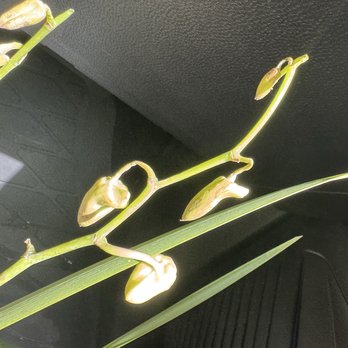 J & R's Flowers & Gift Studio - Florists Near Me - Oceanside, California