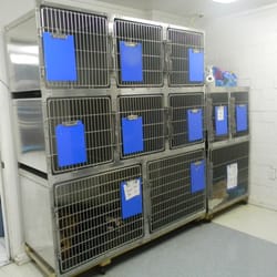 Paws & Claws Animal Hospital