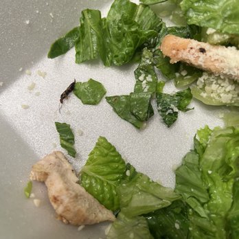 East Coast Wings + Grill - Grilled chicken Caesar salad - Chicken Wings Near Me - Hickory, North Carolina East Coast Wings + Grill - Grilled chicken Caesar salad - Chicken Wings Near Me - Hickory, North Carolina
