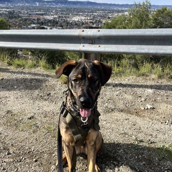Kruse'nK9s - Pet Sitting Near Me