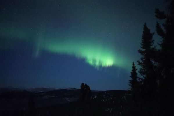 The Overlook at Cleary Summit by null