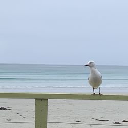 Bridgewater Bay Cafe - View