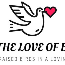 For the Love of Birds