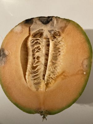 Trader Joe's by null