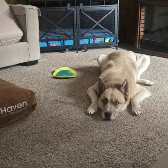 Cheyenne Pet Clinic - My pet - Veterinarians Near Me - Cheyenne, Wyoming