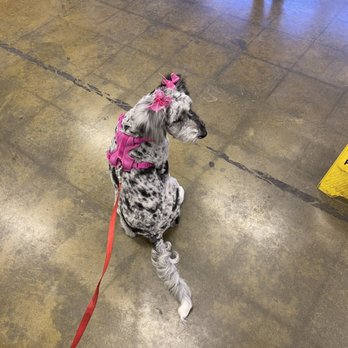Tender Touch Professional Pet Grooming - Pet Groomers Near Me - Moreno Valley, California Tender Touch Professional Pet Grooming - Pet Groomers Near Me - Moreno Valley, California