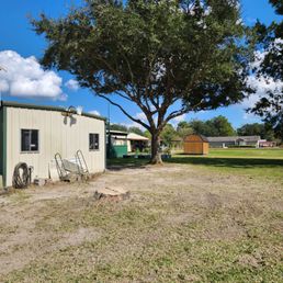 Removed water oak and prune live oak.