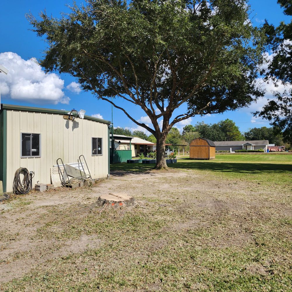 GREEN LEAF TREE SERVICE Updated September 2024 619 Garber Rd