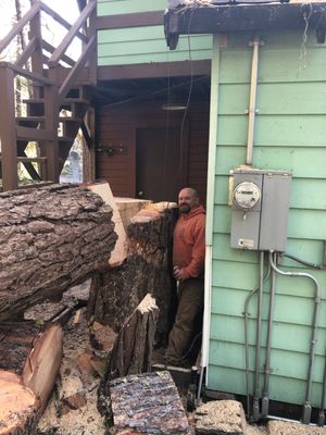 Removals - Big or small, when it comes to tree we do it all! We have access to any professional equipment to tackle even the toughest jobs. Removals - Big or small, when it comes to tree we do it all! We have access to any professional equipment to tackle even the toughest jobs.