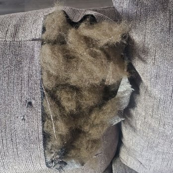A&J Upholstery - Furniture Reupholstery Near Me - Las Vegas, Nevada A&J Upholstery - Furniture Reupholstery Near Me - Las Vegas, Nevada