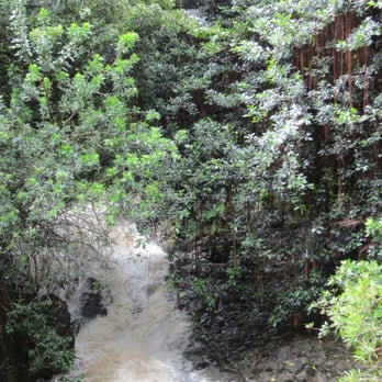 Twin Falls Trail - not much to see - Hiking Near Me - Haiku, Hawaii Twin Falls Trail - not much to see - Hiking Near Me - Haiku, Hawaii