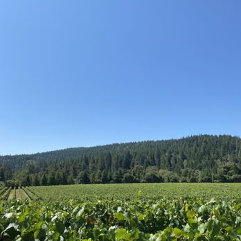 Goldeneye Winery - Wineries Near Me - Philo, California Goldeneye Winery - Wineries Near Me - Philo, California