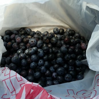 Emery’s Farm - My blueberrys - Farmers Market Near Me - New Egypt, New Jersey Emery’s Farm - My blueberrys - Farmers Market Near Me - New Egypt, New Jersey