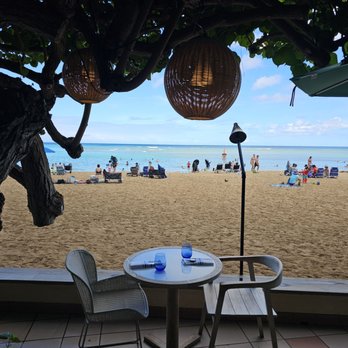 Hau Tree - Your view while dining! - Seafood Near Me - Honolulu, Hawaii Hau Tree - Your view while dining! - Seafood Near Me - Honolulu, Hawaii