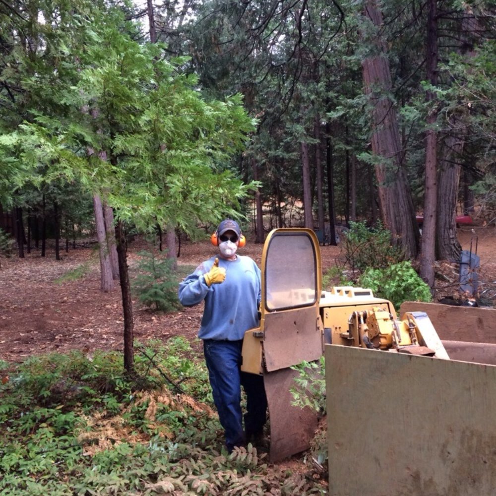 Little Beaver Stump Grinding - Ryan and the Super RG50 - Tree Services Near Me