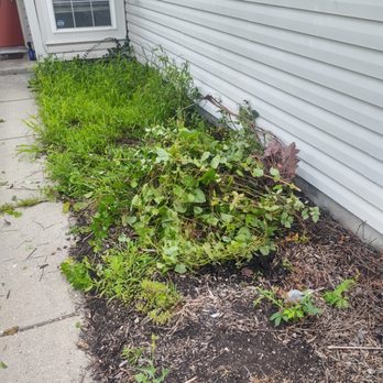 E & R Landscaping - Before - Landscaping Near Me - Indianapolis, Indiana E & R Landscaping - Before - Landscaping Near Me - Indianapolis, Indiana