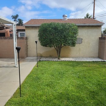 Pearloga Tree service - After orange tree - Tree Services Near Me Pearloga Tree service - After orange tree - Tree Services Near Me