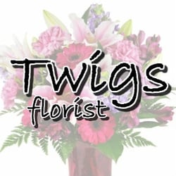 Twigs