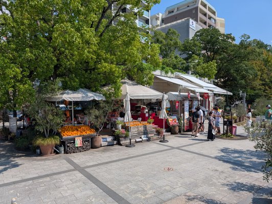 Caffè Ponte by null