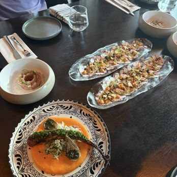 Okto - Spread - Bars Near Me - Houston, Texas
