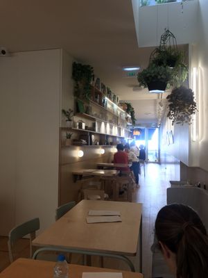 Noshi Coffee by null