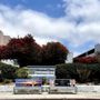 Photo of Windansea Veterinary Clinic