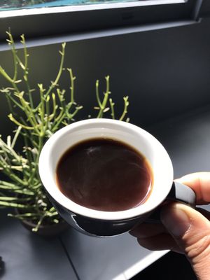 Counter Culture Coffee by null