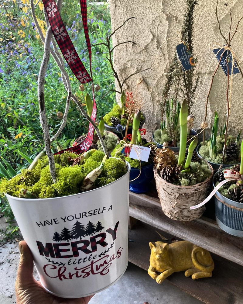 WYNNIE’S FLOWER FARM Updated May 2024 42 Photos 9146 N Fowler Ave