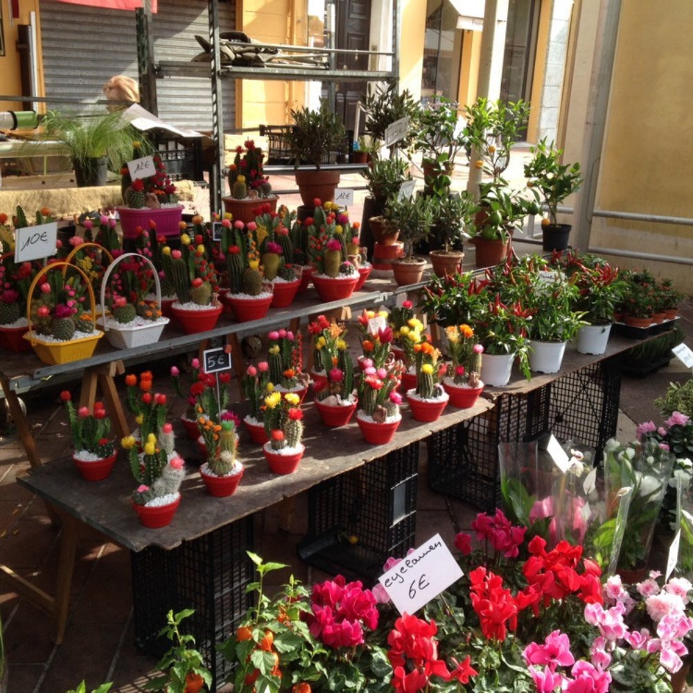 Marché aux Fleurs - Florists Near Me - Nice, 06