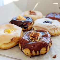 Jelly Modern Doughnuts - Lemon Curd, S'mores, Peanut Butter, Raspberry Jelly, Maple Bacon & Skor