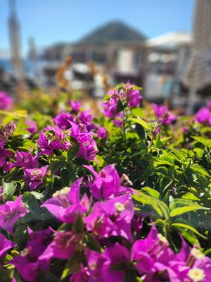 Breathless Cabo San Lucas Resort and Spa by null