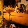Photo of Bananenmuseum