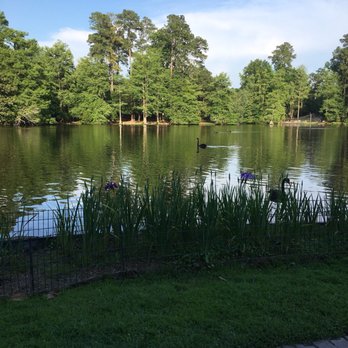 Swan Lake Iris Gardens - The lake with it many Swan and beautiful gardens. - Parks Near Me - Sumter, South Carolina Swan Lake Iris Gardens - The lake with it many Swan and beautiful gardens. - Parks Near Me - Sumter, South Carolina