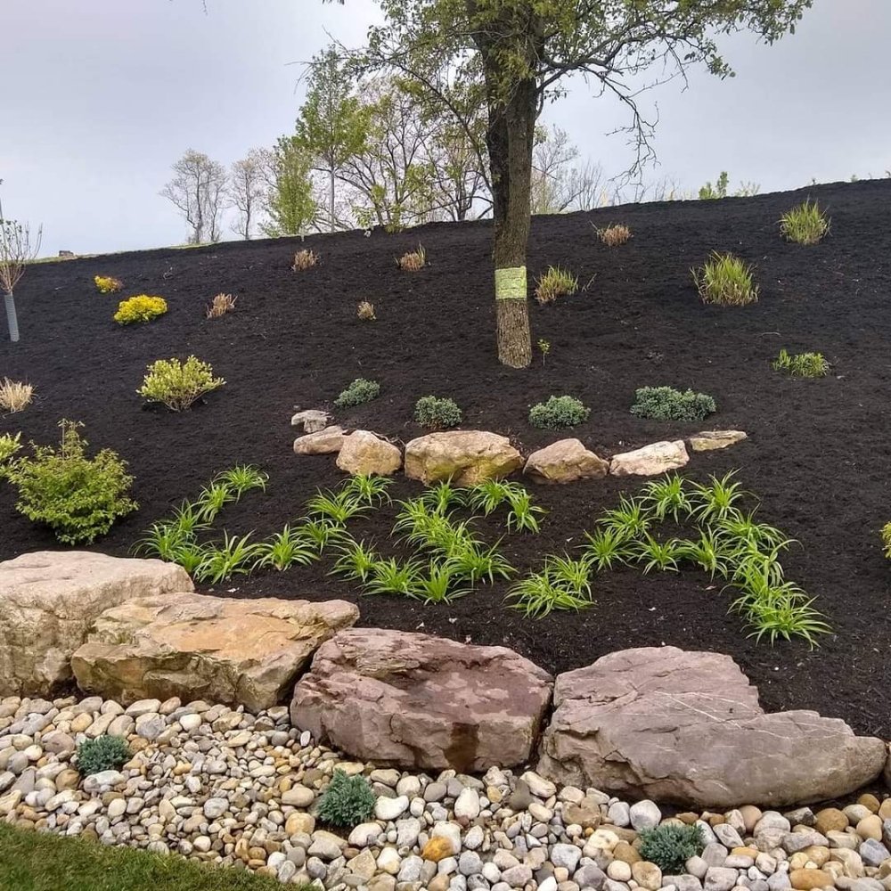 SDS LANDSCAPING Updated October 2024 119 Photos Bernville