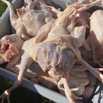 Vang's Chicken Farm - Meat Shops Near Me - Fresno, California