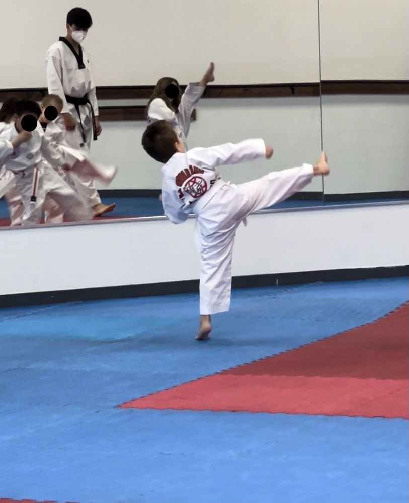 US World Class Taekwondo - Happy Valley Logo