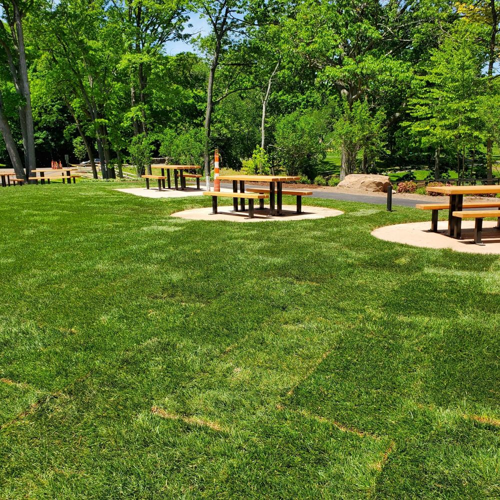 Stanley Quarter Park - Beautiful new grass - Parks Near Me - New Britain, Connecticut Stanley Quarter Park - Beautiful new grass - Parks Near Me - New Britain, Connecticut
