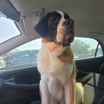 PetSmart - Pet Stores Near Me - Antioch, California PetSmart - Pet Stores Near Me - Antioch, California