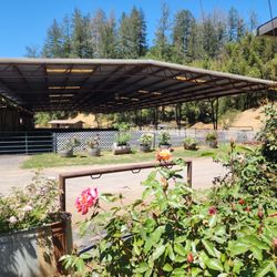 Silver Oak Stables