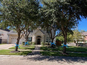 Tree Care Professional - tree service in Houston, TX