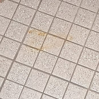 Ollie's Bargain Outlet - At least they attempted to wipe it up this time - Discount Store Near Me - Sarasota, Florida