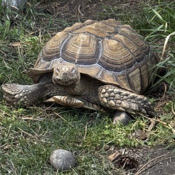 Kangaroo Creek Farm - Zoos Near Me - Kelowna, British Columbia