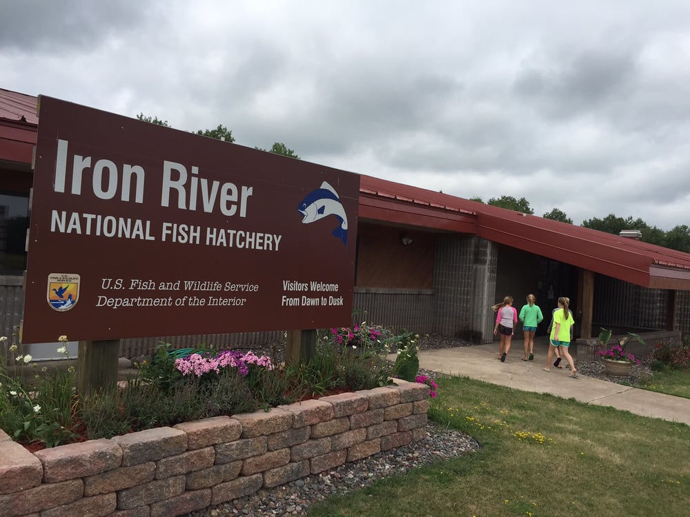 IRON RIVER NATIONAL FISH HATCHERY 10325 Fairview Rd, Iron River
