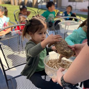 Shine Preschool Center - Preschools Near Me - Anaheim, California