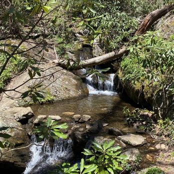 Pisgah National Forest - Hiking Near Me - Pisgah Forest, North Carolina