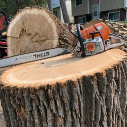 Peach Tree Care