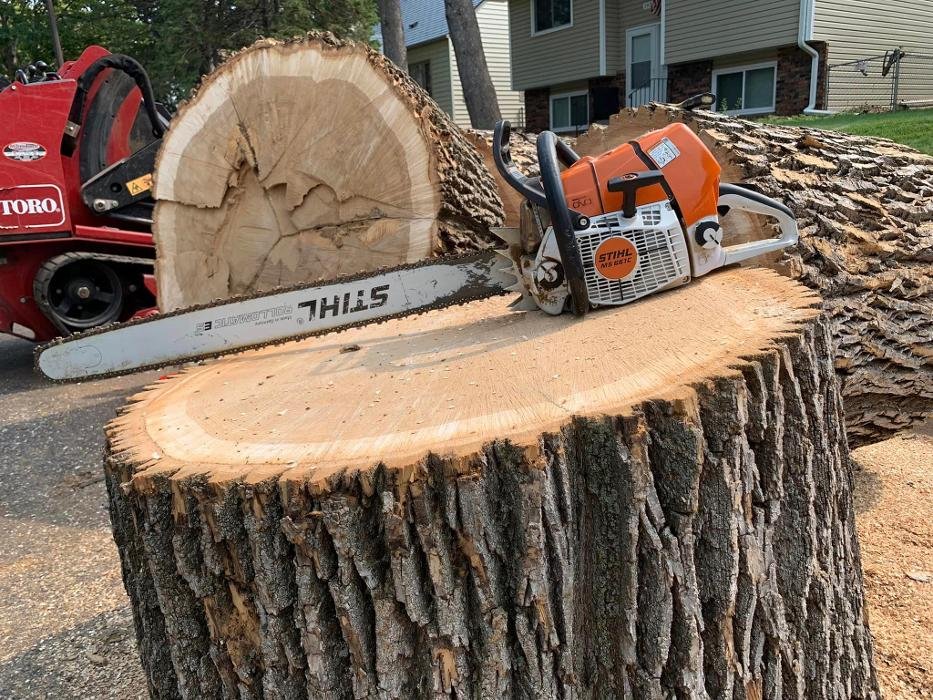 PEACH TREE CARE Updated May 2024 49 Photos 1934 Maryknoll Ave N, St Paul, Minnesota Tree